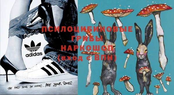 ECSTASY Новозыбков