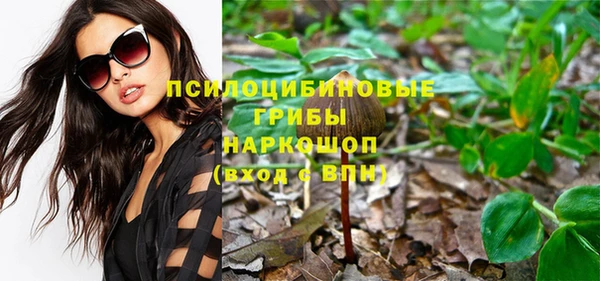 ECSTASY Новозыбков