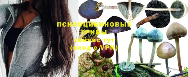 кристаллы Чегем