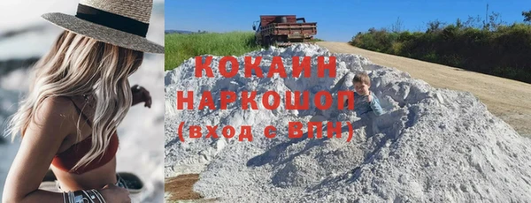 ECSTASY Новозыбков