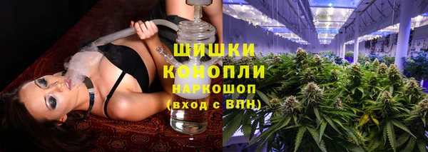 ECSTASY Новозыбков