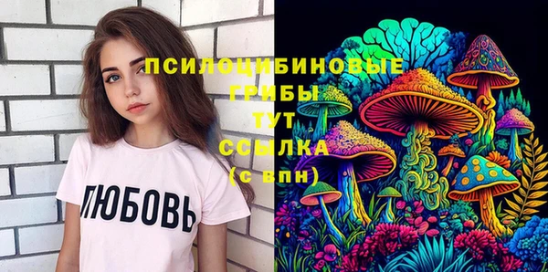 МДМА Новодвинск