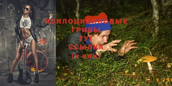 спиды Верея